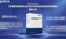 国产精品磁力,引领科技潮流，铸就民族品牌辉煌