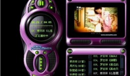 国产色视频播放器,畅享视听盛宴的智能伴侣