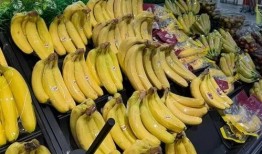 香蕉国产精品,品味家乡的甜蜜诱惑