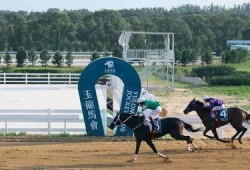 国产无马,引领绿色出行新潮流